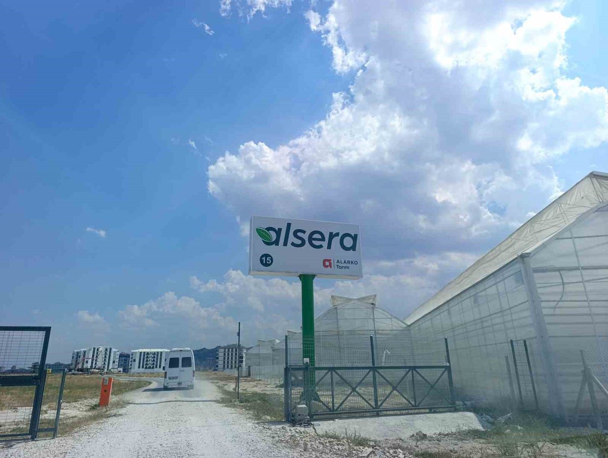Domates Serasında İlaçlama Zehirlenmesi: 24 İşçi Hastanede
