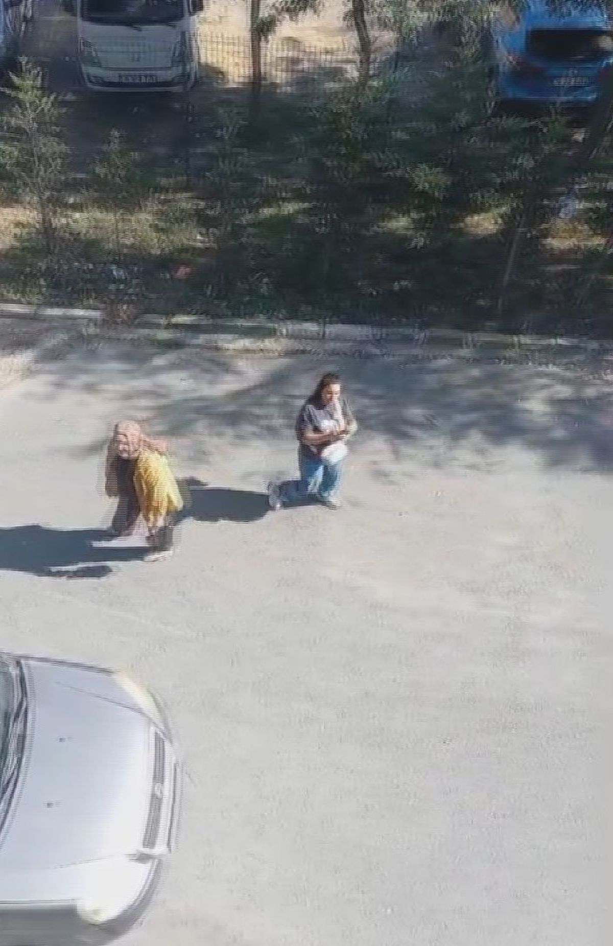 Sultangazi'de Yavru Kediler Nedeniyle Komşular Arasında Tartışma