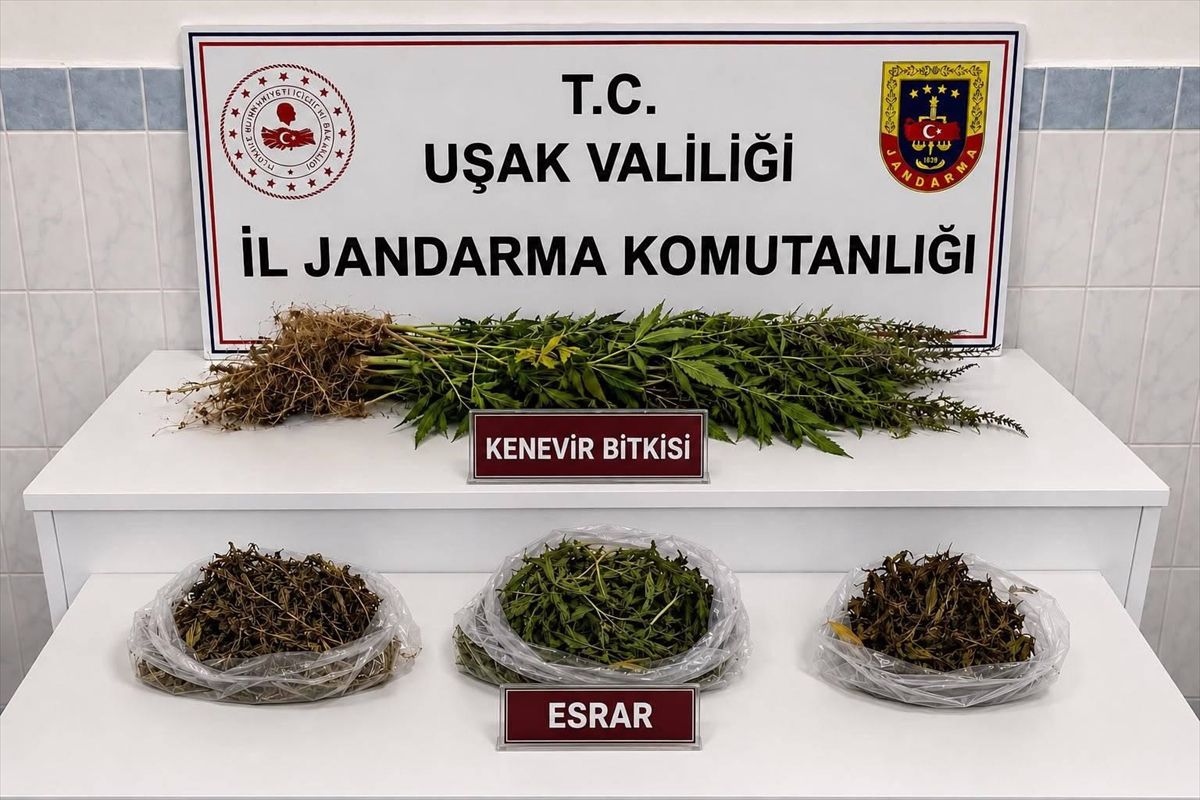 Uşak'ta Uyuşturucu ve Kaçak Tütün Operasyonu: 2 Gözaltı