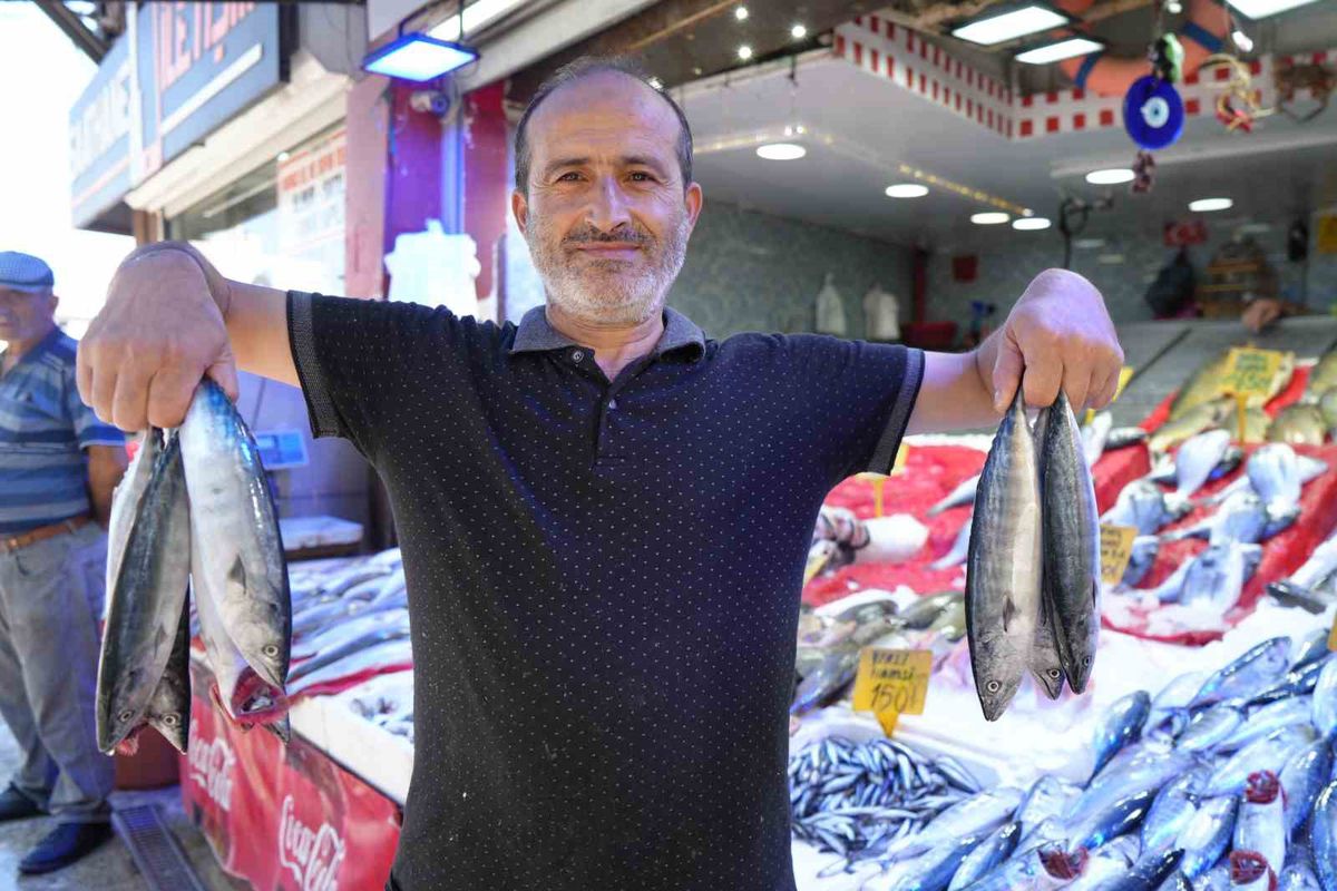 Samsun'da Palamut Bolluğu: Fiyatlar Düşecek