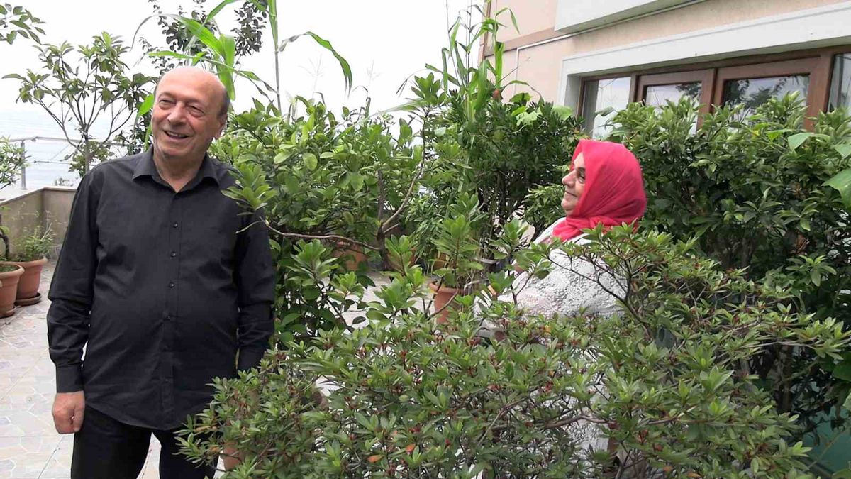 Rize'de Çift, Balkonlarını 102 Saksıda Meyve Ağaçlarıyla Botanik Bahçesine Dönüştürdü