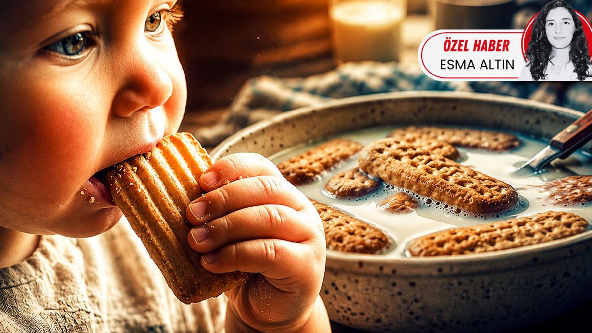 Bakan Şimşek: İşsizlik Yüzde 7,9'a Geriledi