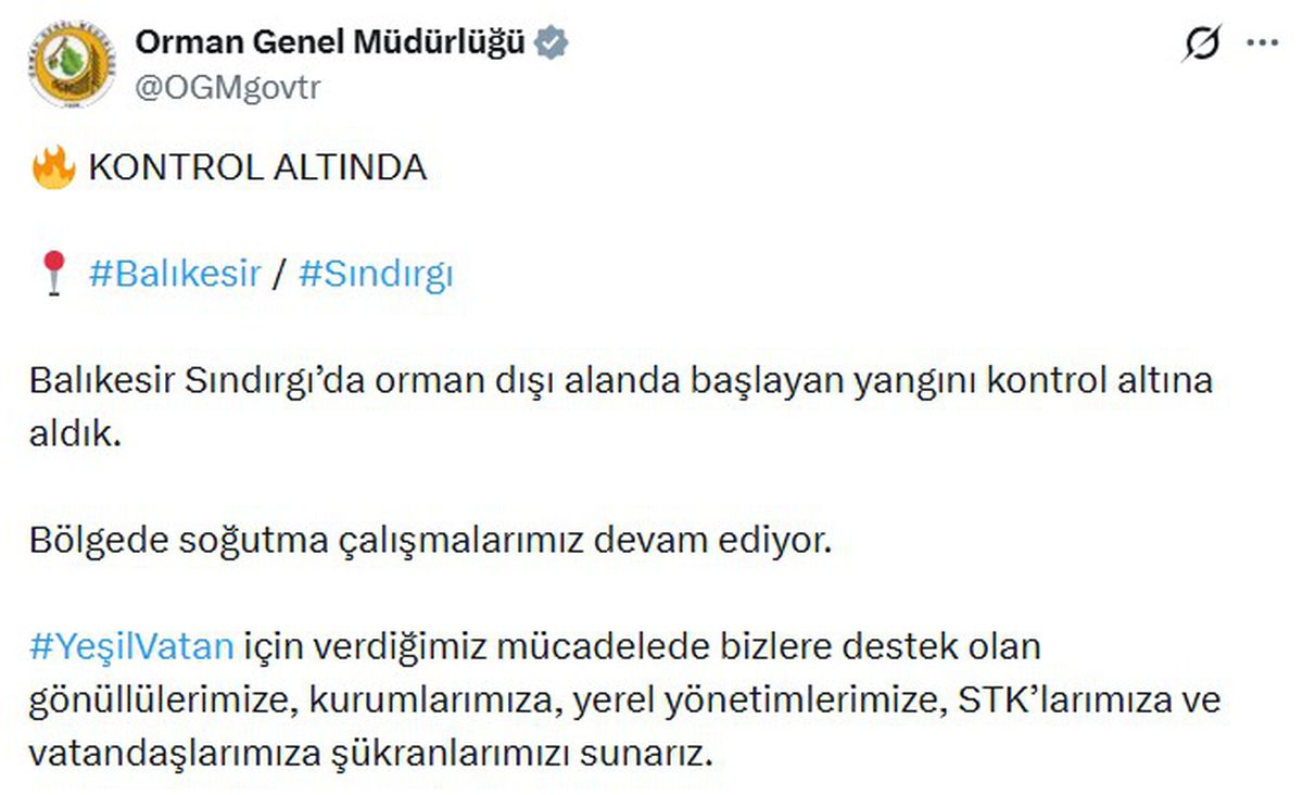 OGM: Sındırgı'daki Orman Yangını Kontrol Altında