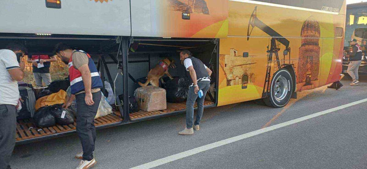 Bilecik’te 669 kişi sorgulandı: 1 kişi hakkında işlem başlatıldı