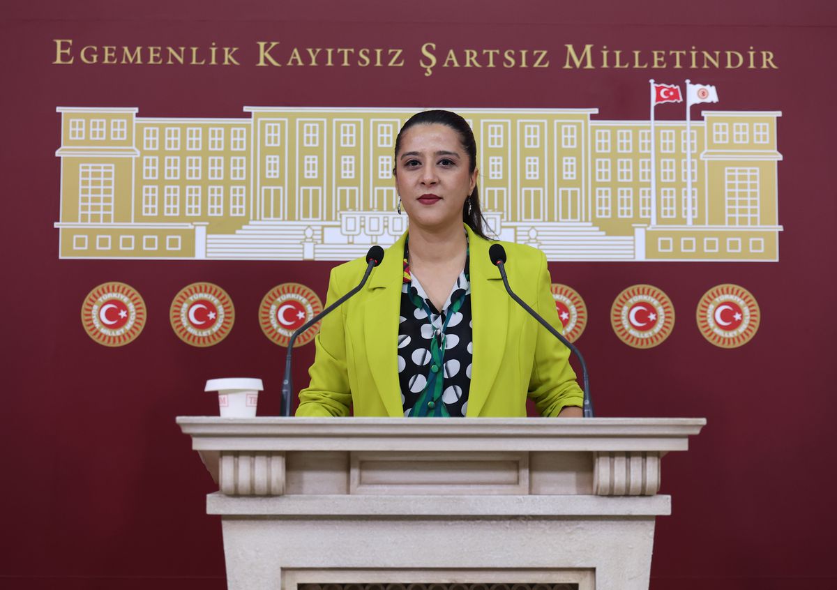 EMEP Milletvekili Karaca, sendika yöneticisine yönelik 'tehdit' iddiasını TBMM gündemine taşıdı