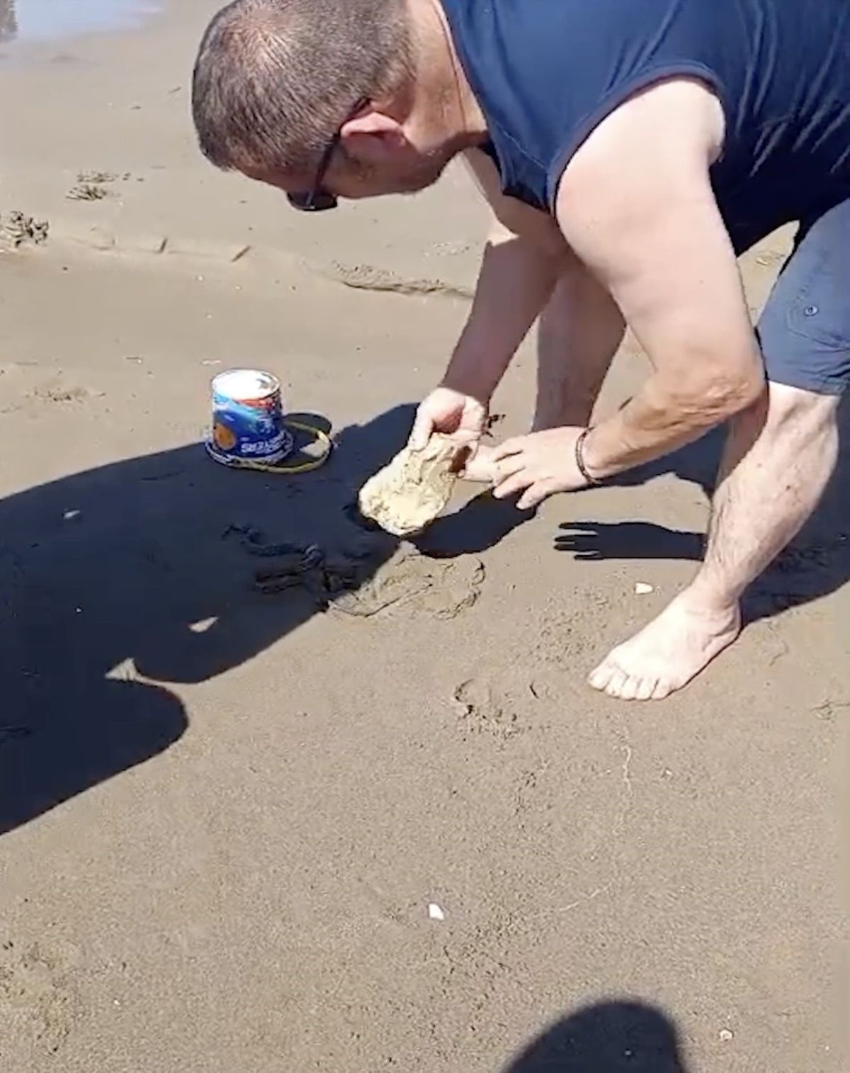 Cide'de Denizden Plaja Yılan Çıktı