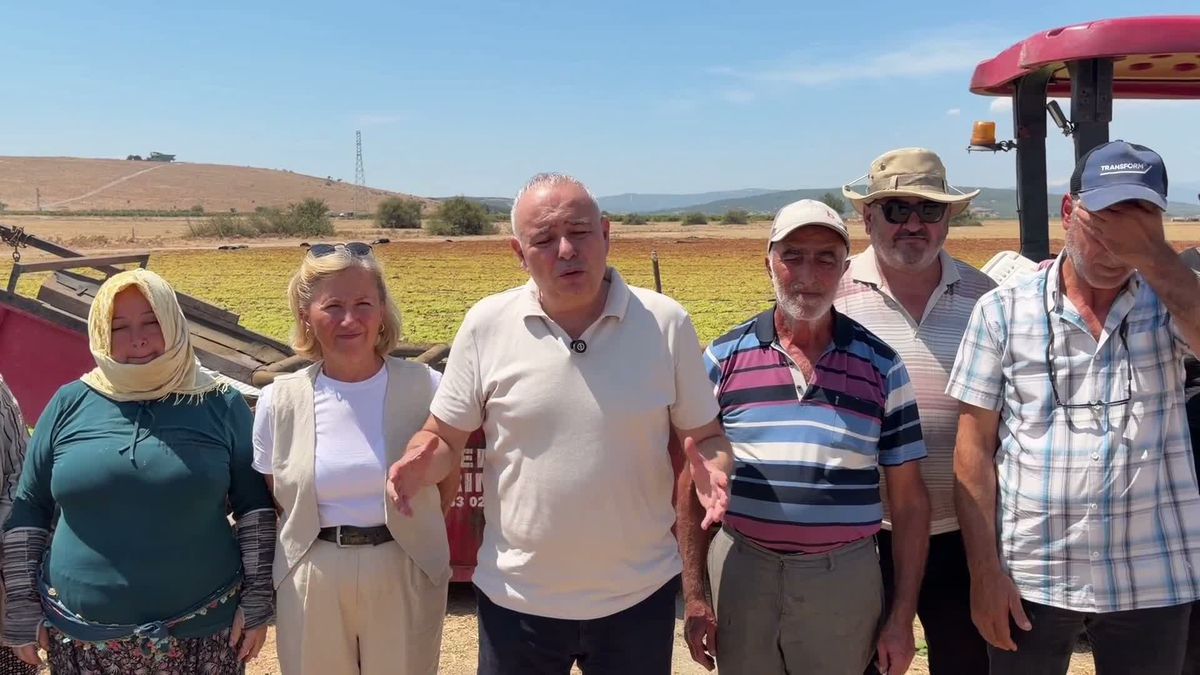 Bakırlıoğlu: Üzüm fiyatı en az 150 lira olmalı