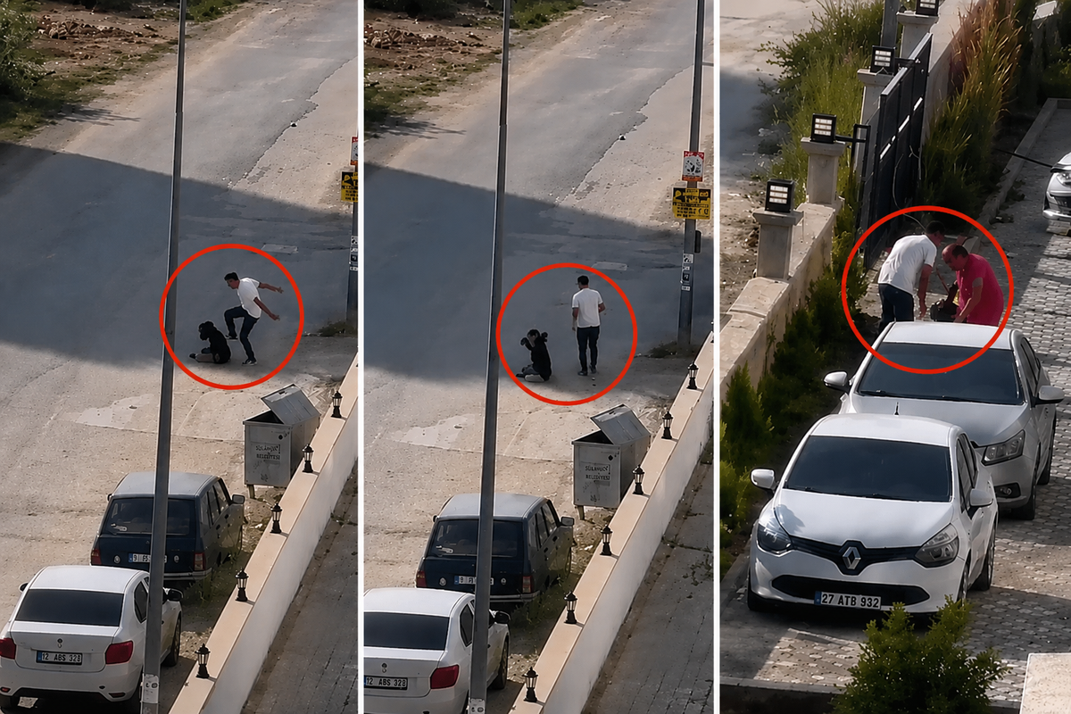 Adana'da sokak ortasında kadına şiddet: Çığlıkları mahallede yankılandı