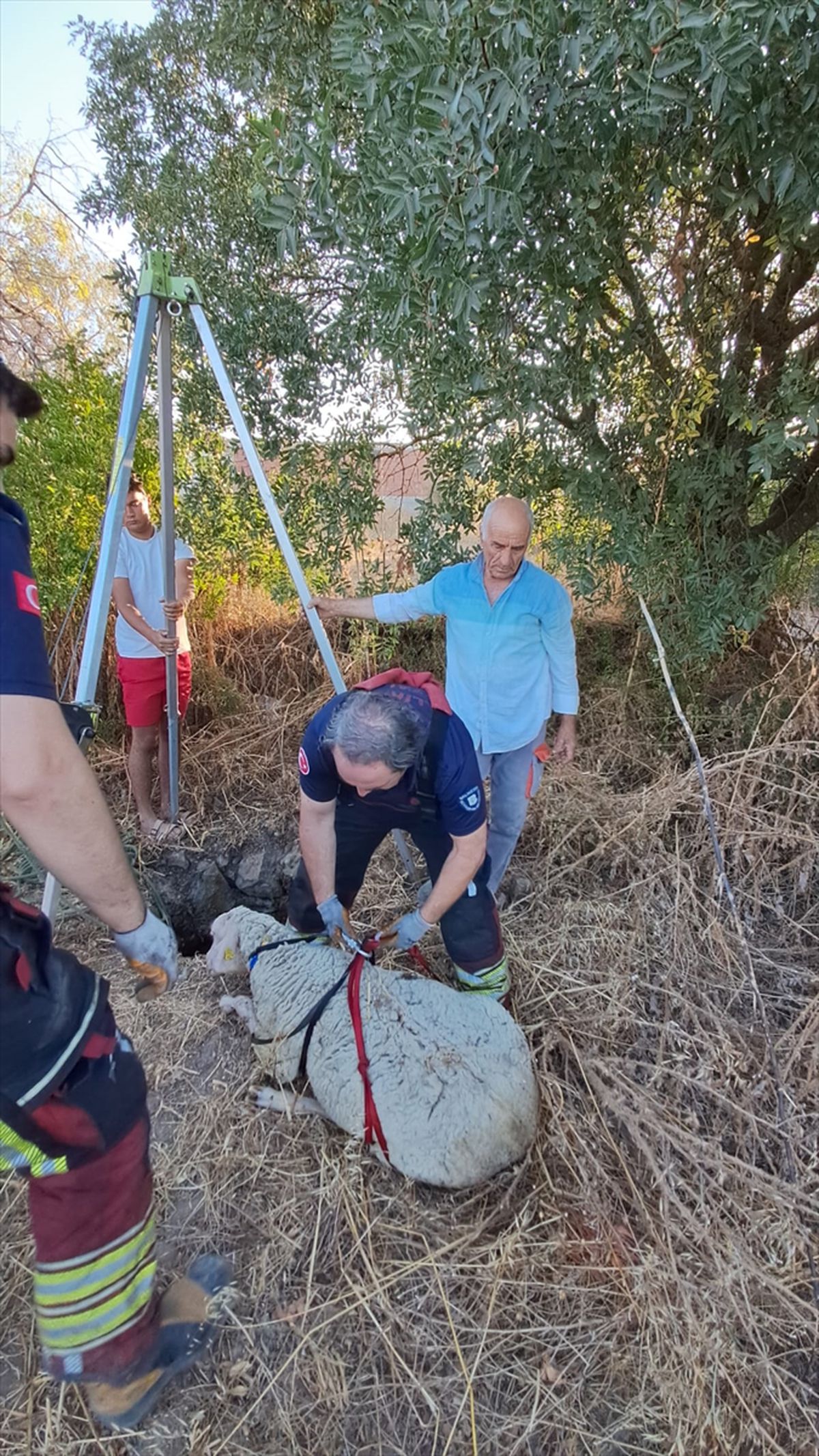 Kuyuya Düşen Koyun İtfaiye Ekiplerince Kurtarıldı