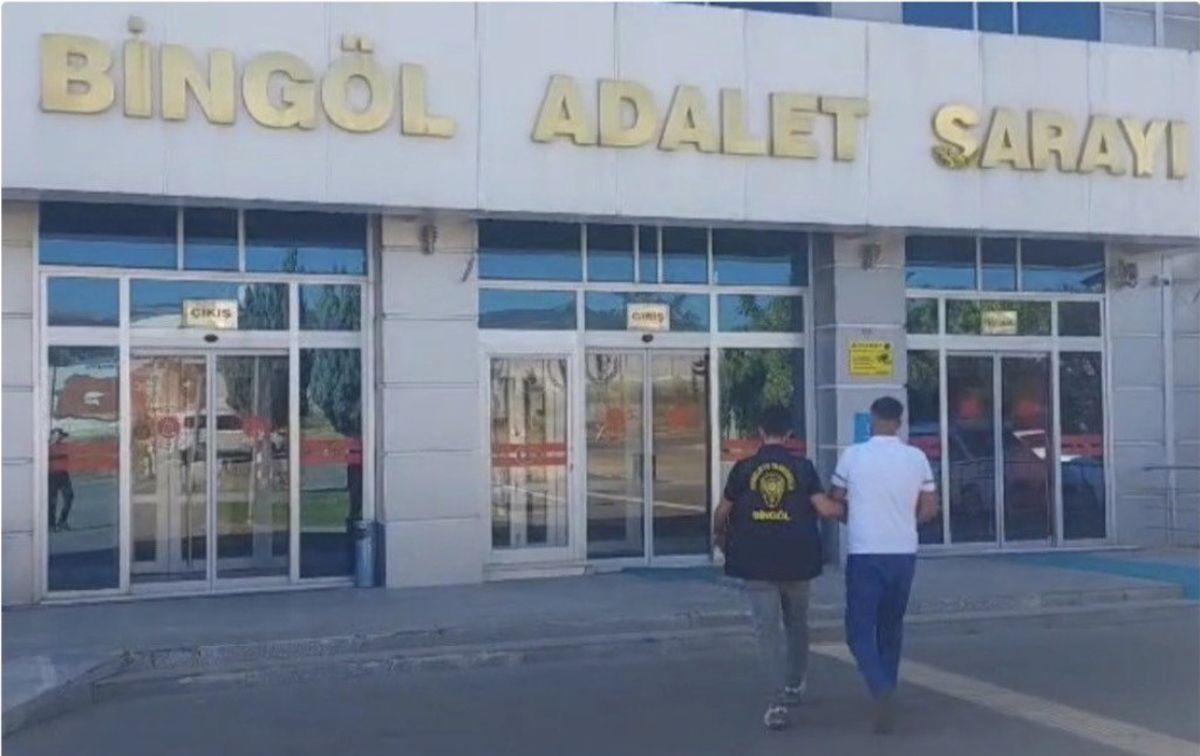 Bingöl'de Hırsızlık Şüphelisi Tutuklandı