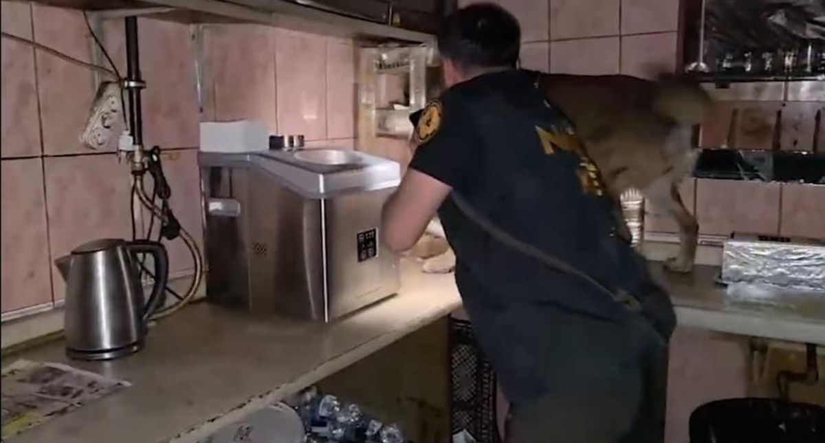 Bitlis'te Uyuşturucu Operasyonu: 11 Tutuklama