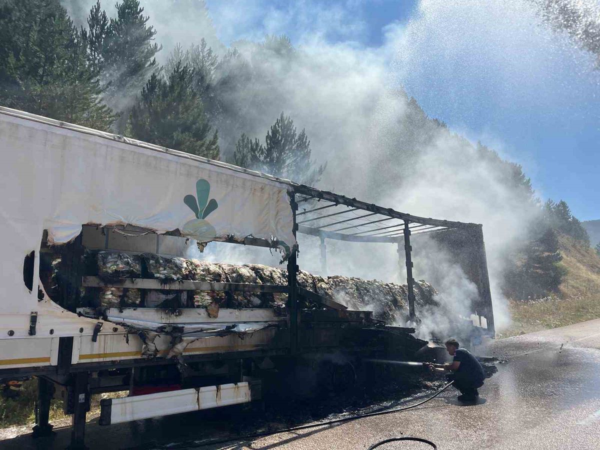 Bolu'da şeker yüklü TIR'da yangın: Ormana sıçradı