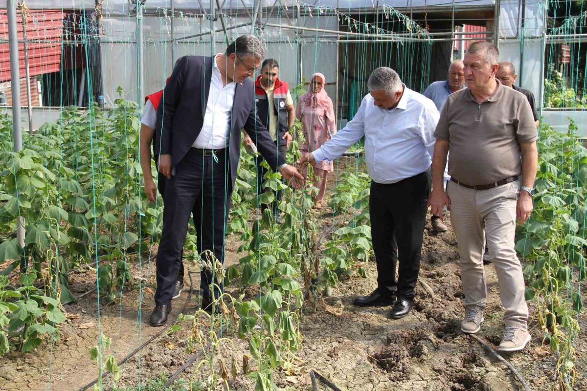 Çarşamba'da Şiddetli Sağanak 5 Bin Dekar Tarım Arazisini Vurdu