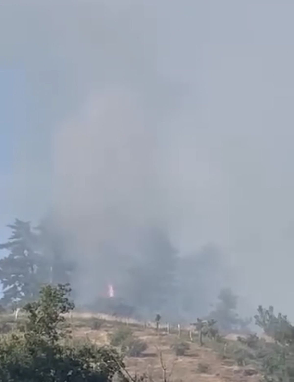 Yığılca'da Orman Yangını Kısa Sürede Söndürüldü