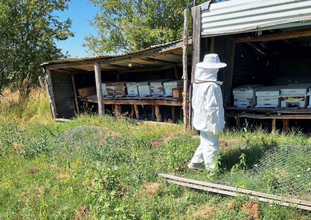 Hisarcık Karbasan köyünde arıcılık faaliyetleri denetlendi