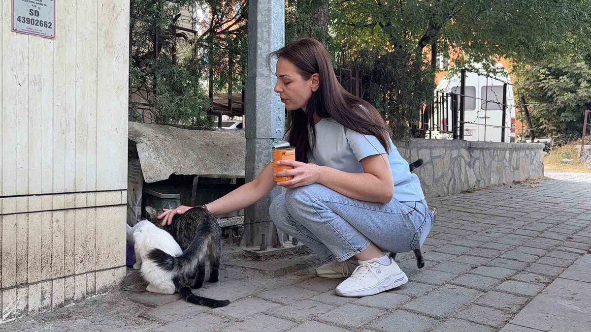 Kütahya'da vahşet: Sokak kedisi başı ve ayakları kesilmiş halde bulundu