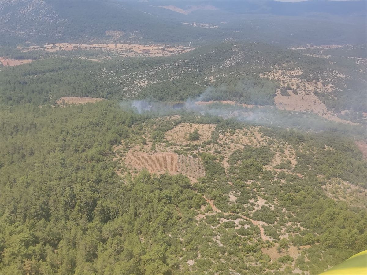 Muğla'da orman yangını kontrol altına alındı