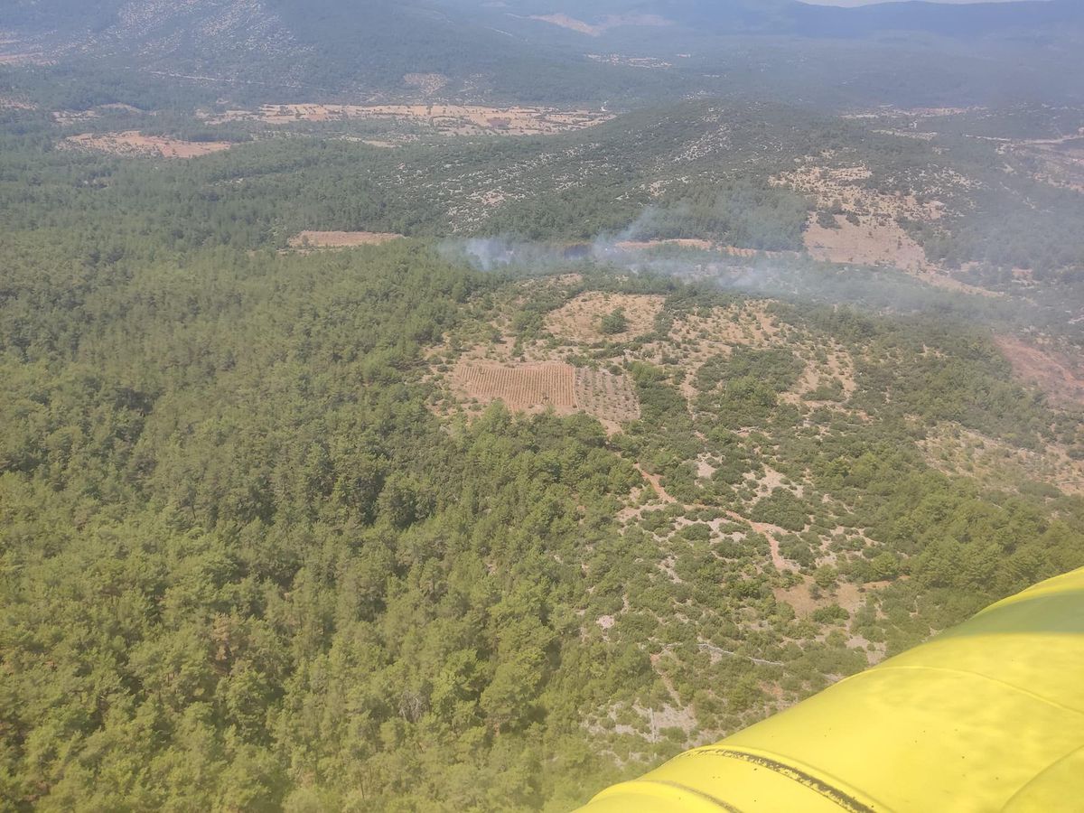 Muğla'da Orman Yangını Kontrol Altına Alındı