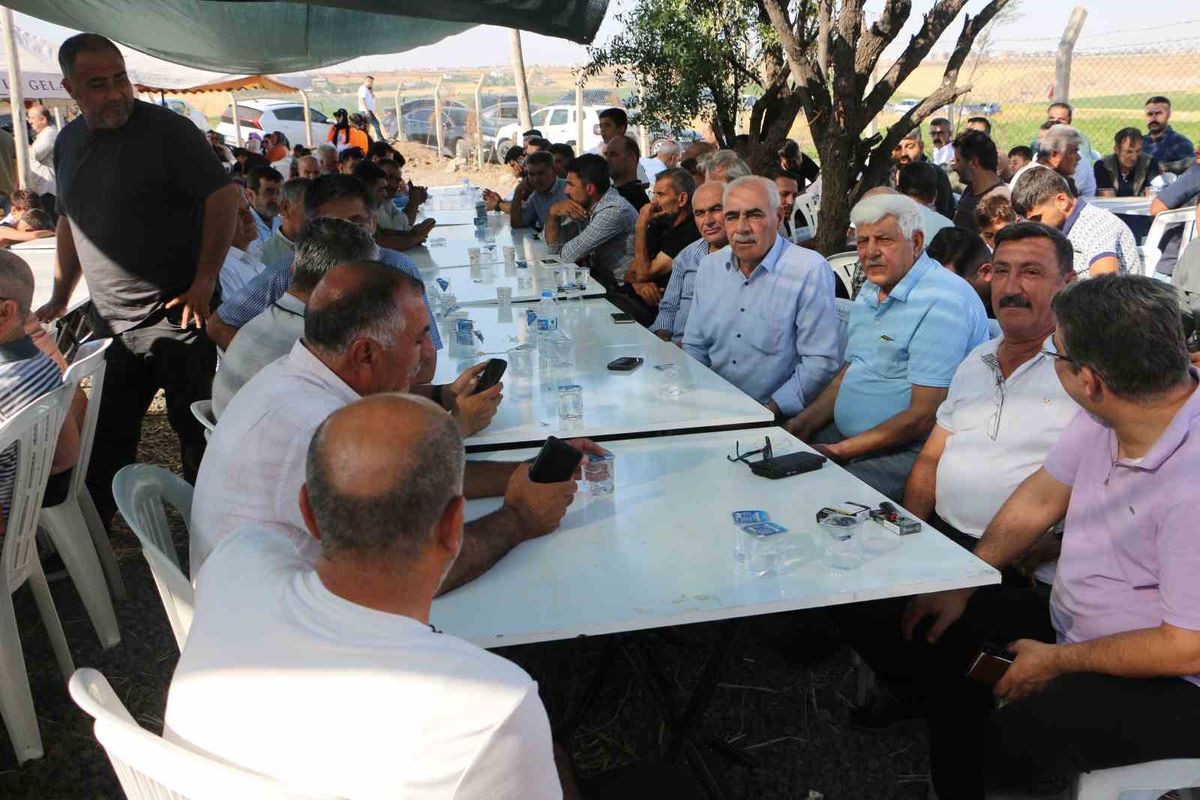 Narin Güran mezarı başında anıldı