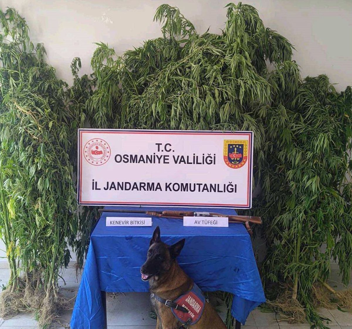 Jandarmadan Osmaniye'de 138 Olayda 128 Gözaltı