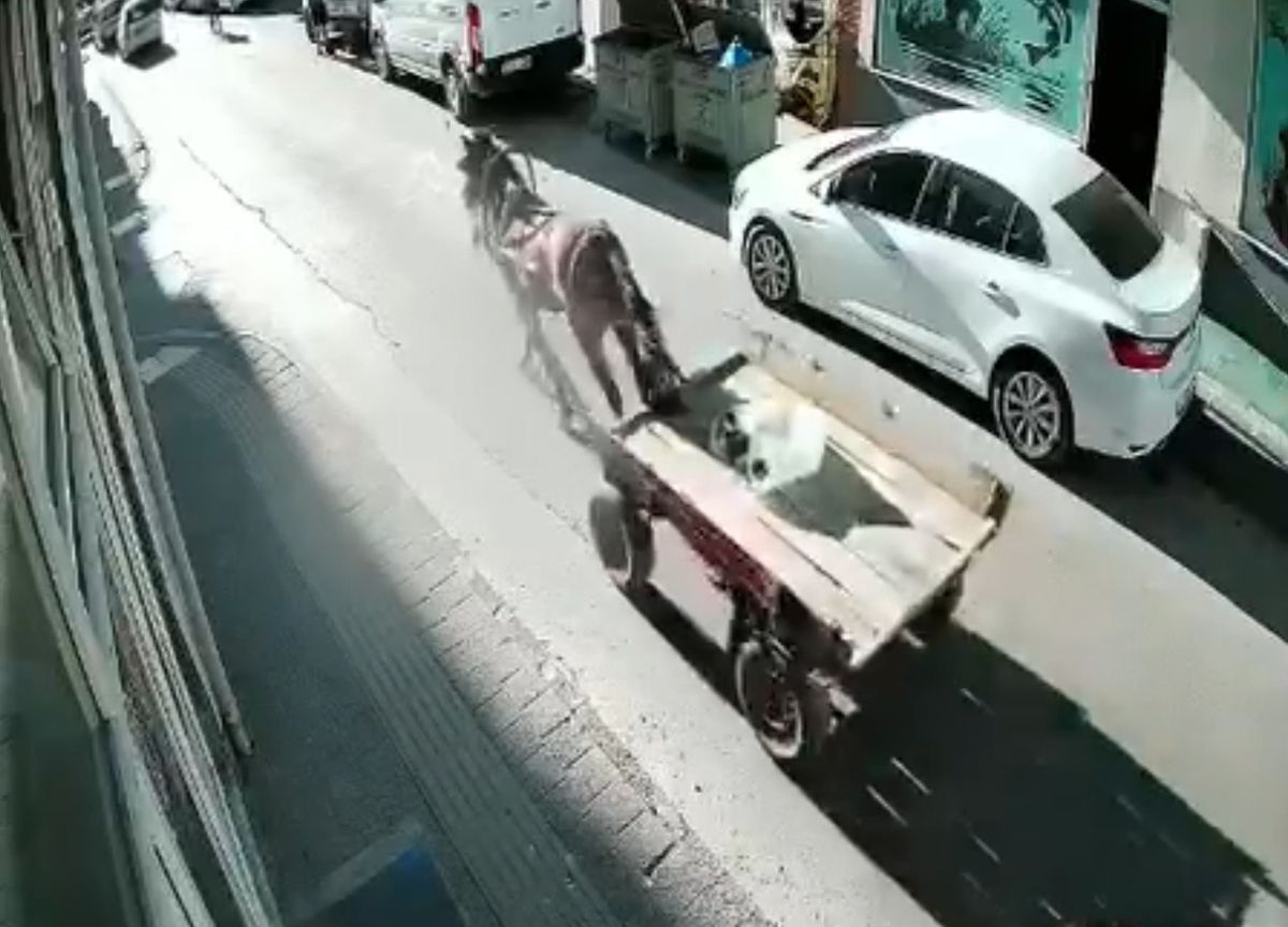 Sürücüsüz at arabası, otomobile çarptı; o anlar kamerada