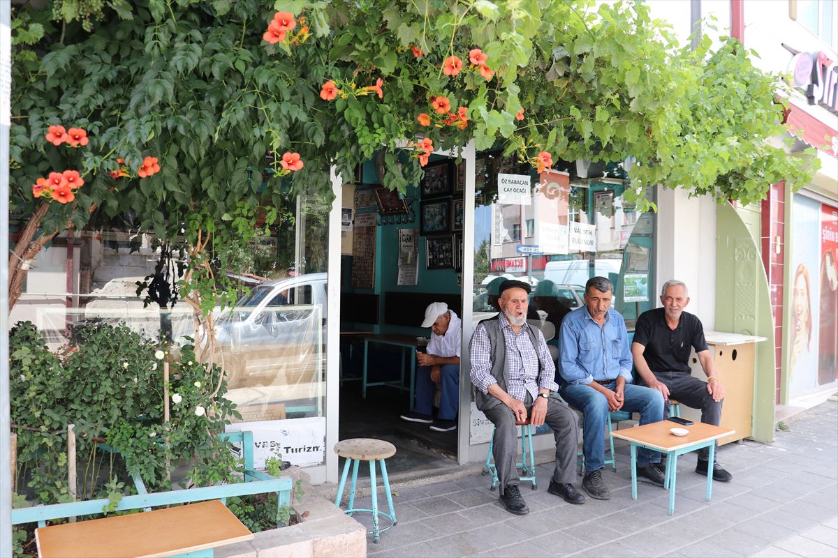 Sivaslı çaycı 48 yılda 1000 fotoğraf topladı