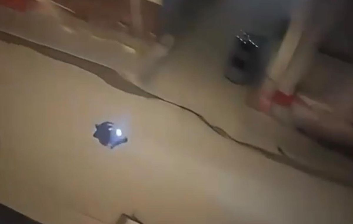 Ağrı'da Tehlikeli Sürüş Yapan Motosiklet Sürücüsüne 17 Bin 719 TL Ceza