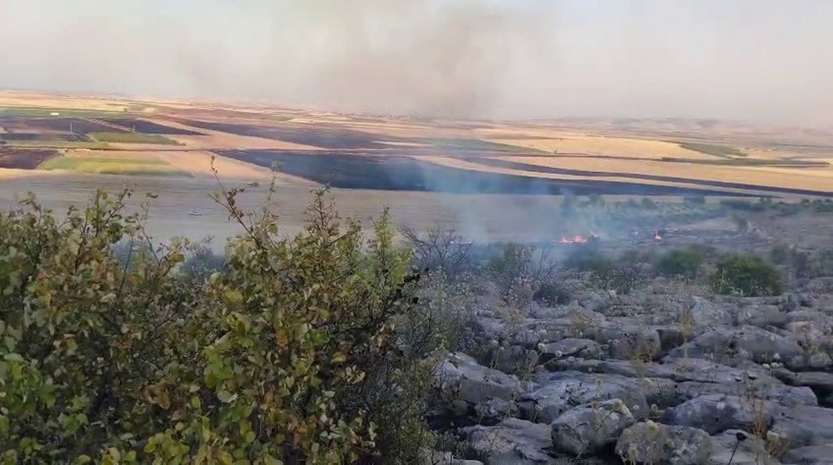 Besni'de Anız Yangını Ormanlık Alana Sıçradı