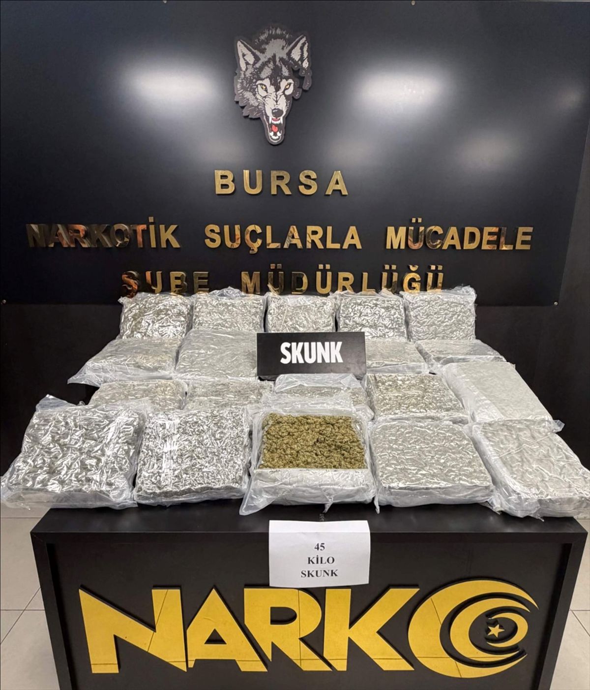 Bursa'da 45 kg Esrar Operasyonu: 1 Tutuklama