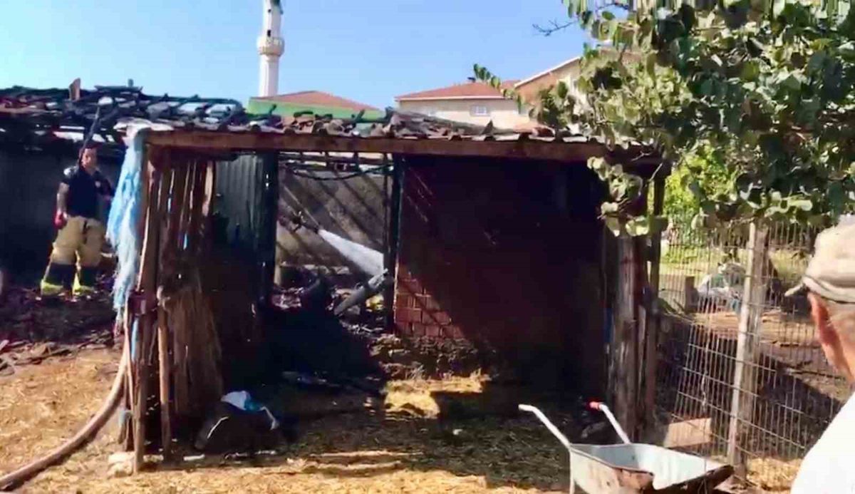 Çanakkale'de Ahır Yangını Büyümeden Söndürüldü