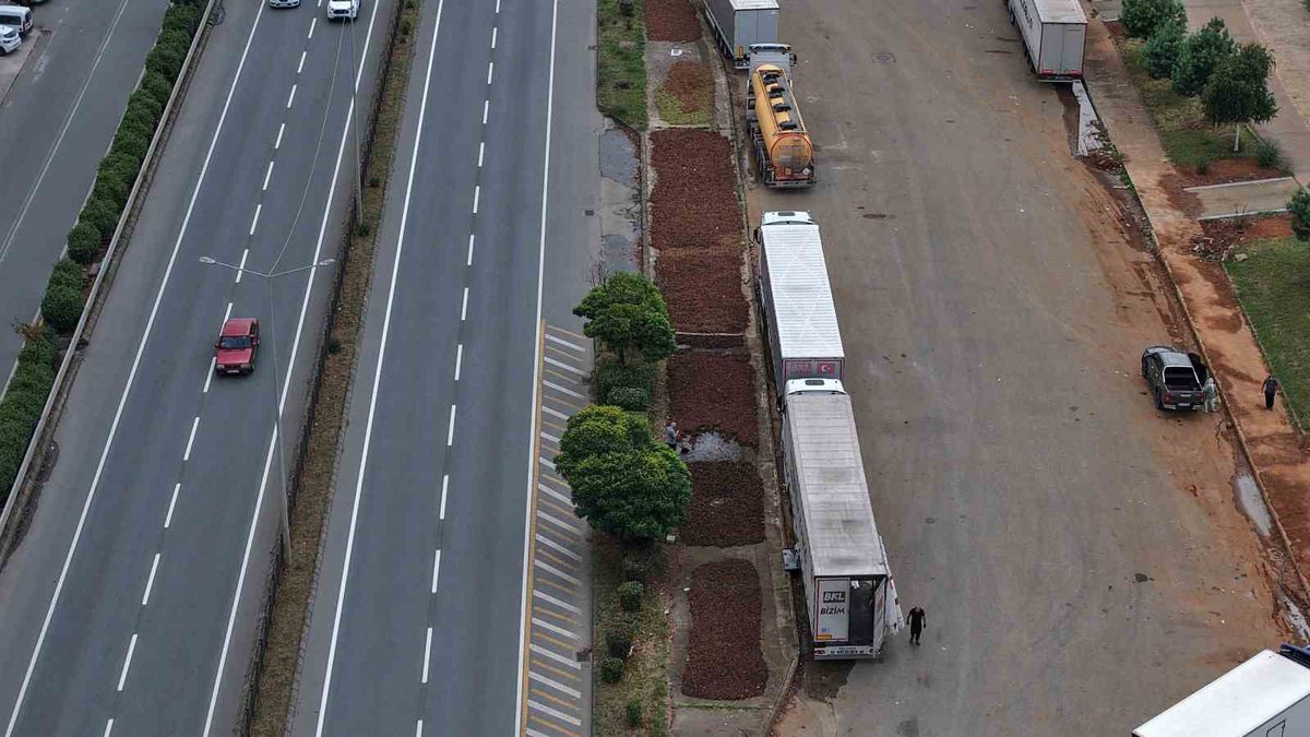 Trabzon'da Fındık Hasadı Sonrası Sahil Yolu Harman Yeri Oldu