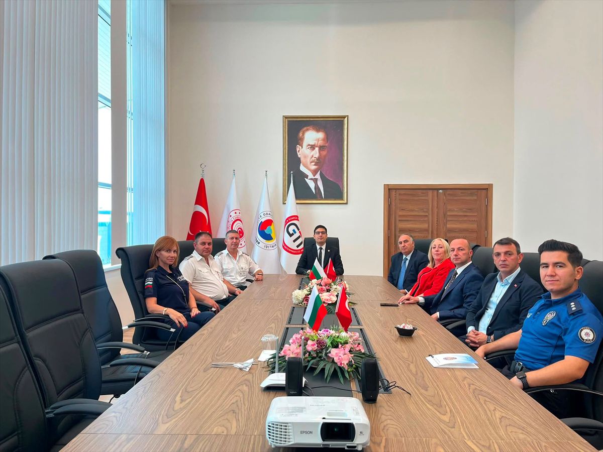 Hamzabeyli Sınır Kapısı'nda Gurbetçi Yoğunluğu İçin Türk-Bulgar İş Birliği