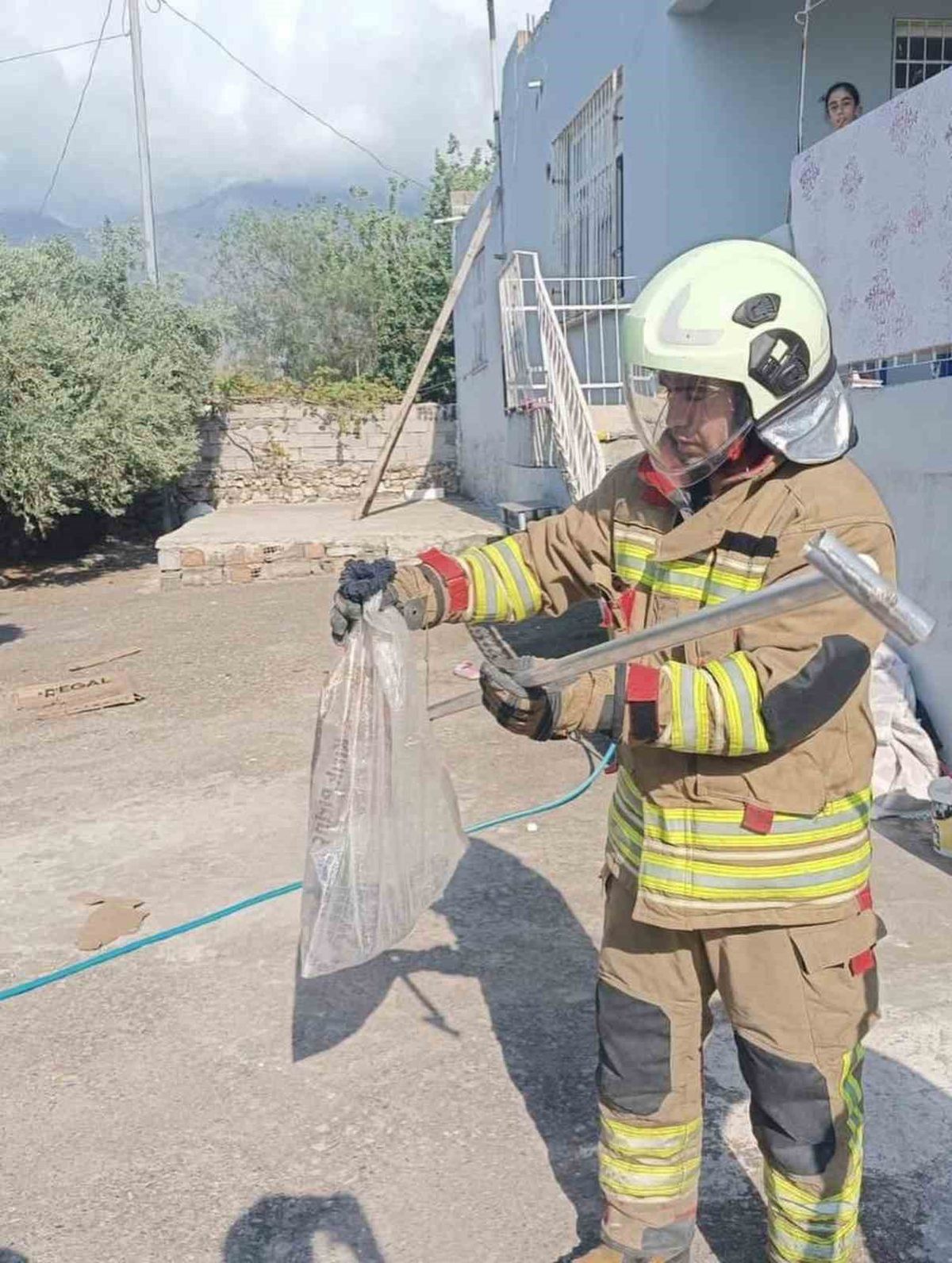 Hatay'da Yerleşim Yerlerinde Görülen Yılanlar Doğaya Salındı