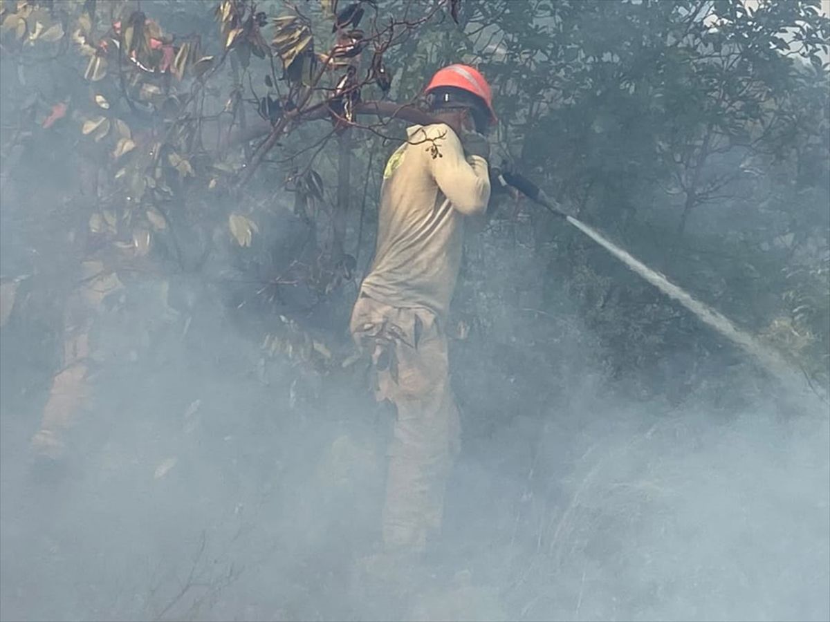 Kaş'ta orman yangınına havadan ve karadan müdahale