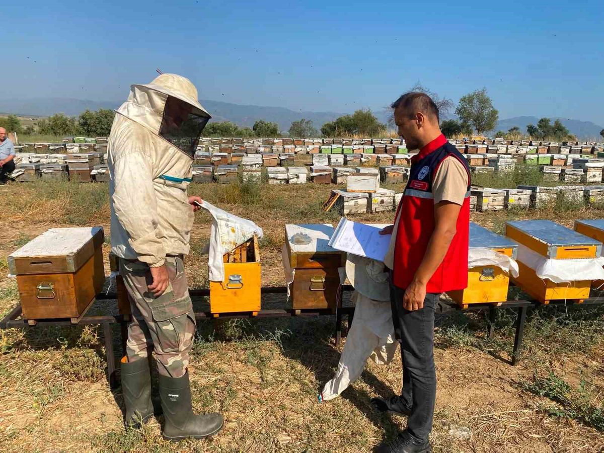 Nazilli'de Arılı Kovan Tespit Çalışmaları Sürüyor