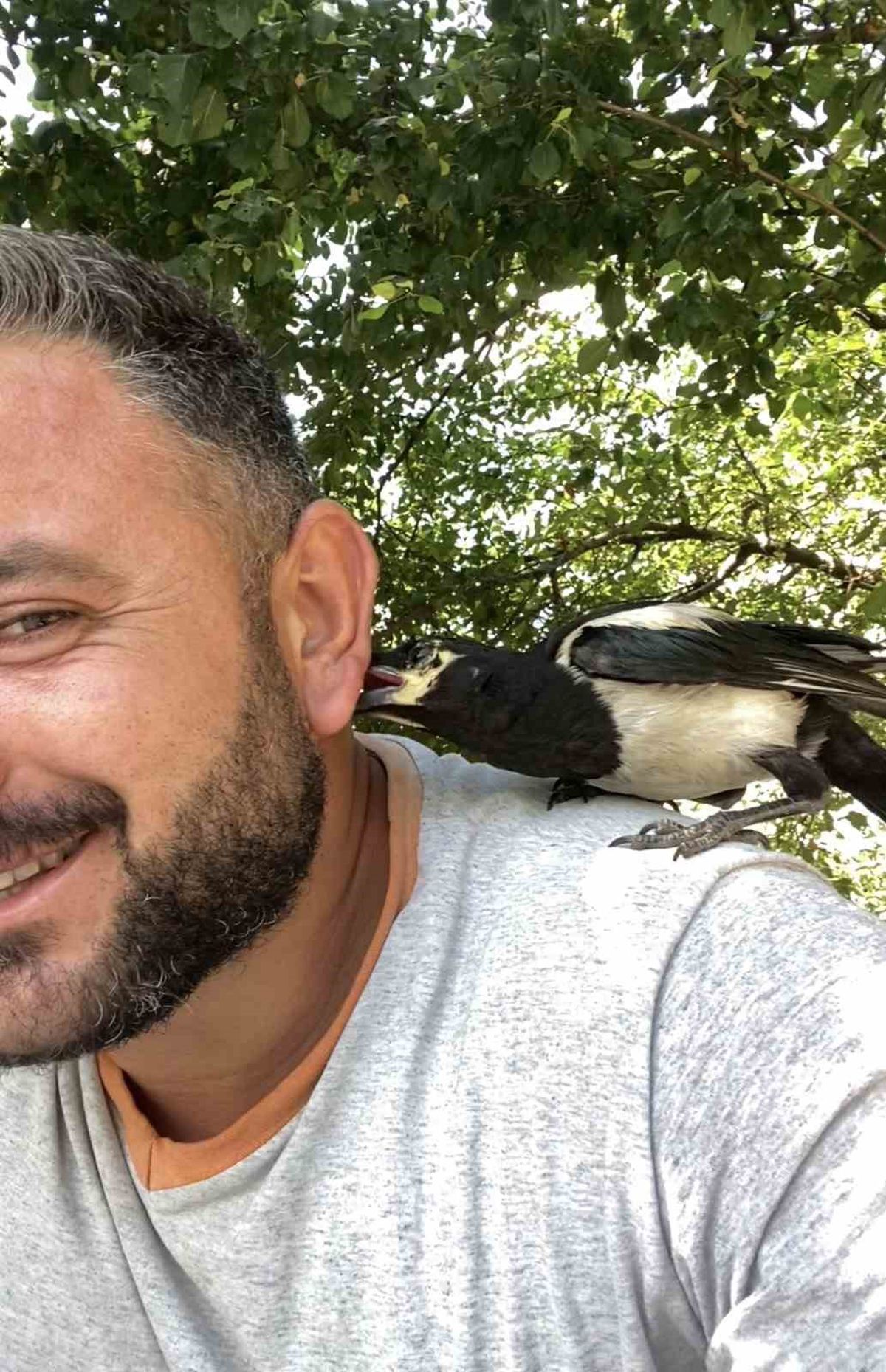 Perişan ismini verdiği saksağanı omuzundan indirmiyor
