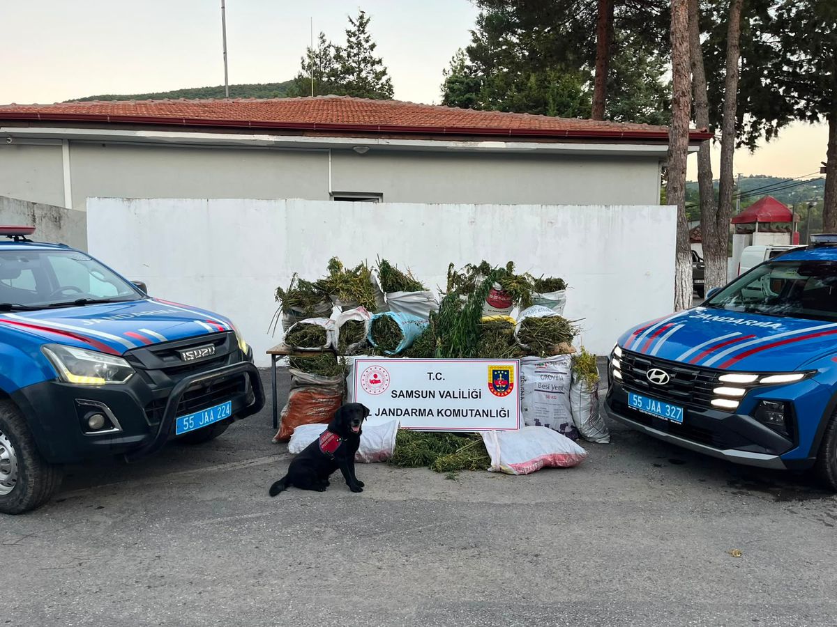 Bafra'da Uyuşturucu Operasyonu: 1 Tutuklama
