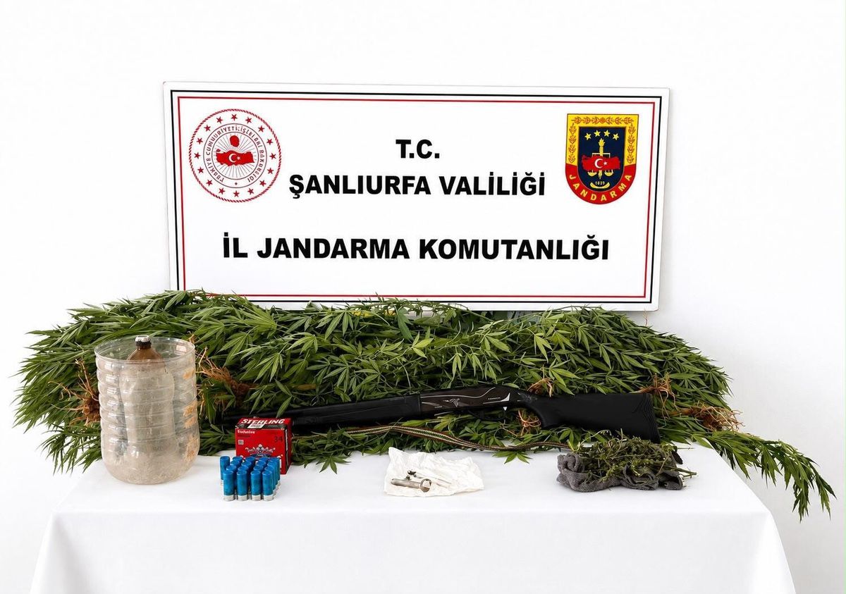 Akçakale'de uyuşturucu operasyonu: 1 gözaltı