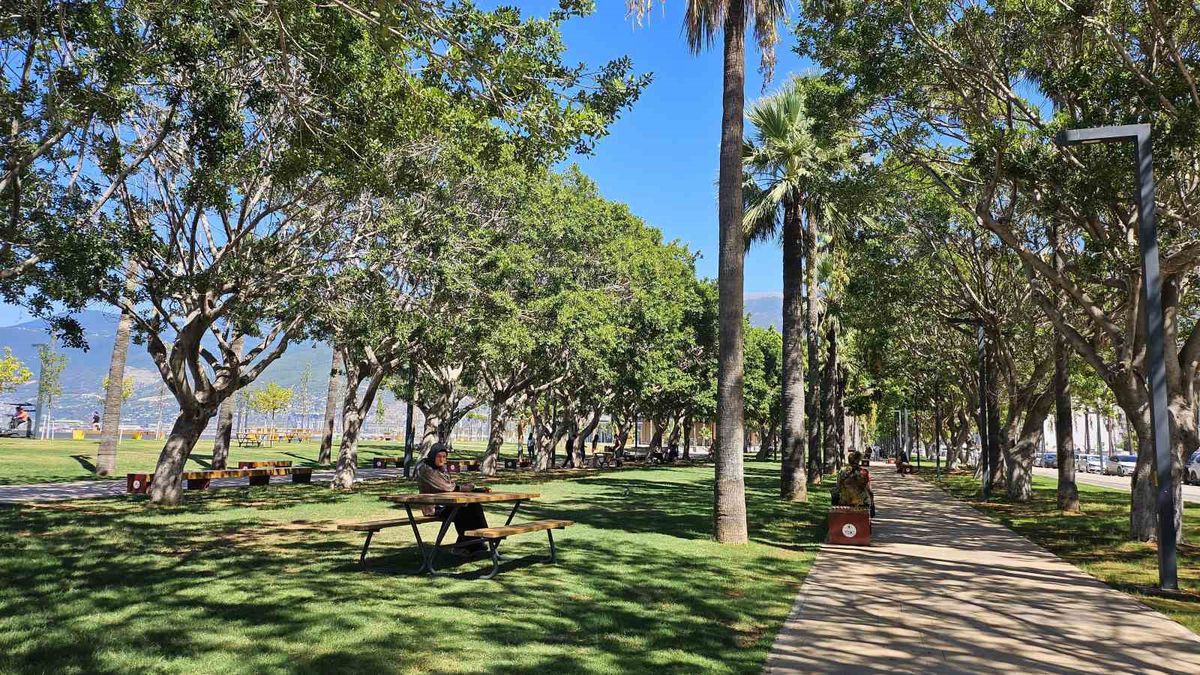 İskenderun'da kavurucu sıcaklar: Vatandaşlar ve kuşlar gölgeye sığındı