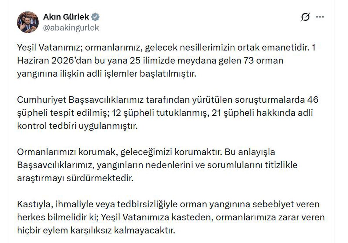 Orman Yangınlarında 46 Şüpheli, 12 Tutuklama