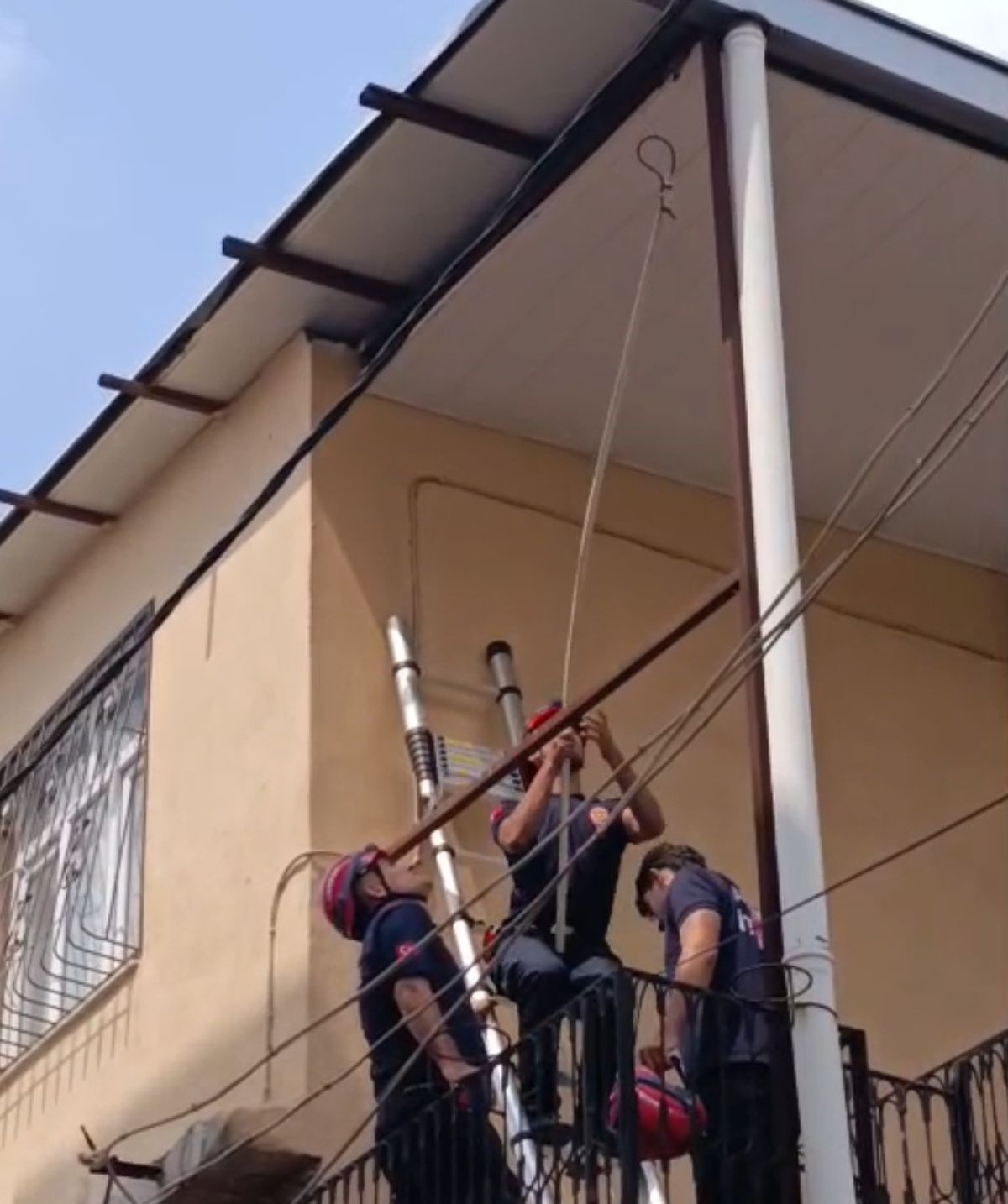 Tavana Sıkışan Güvercin İtfaiye Tarafından Kurtarıldı