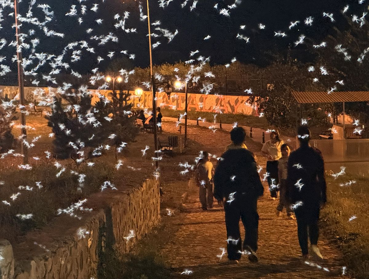 Ardahan'da 'Bir Günlükler'in Ölüm Dansı Başladı