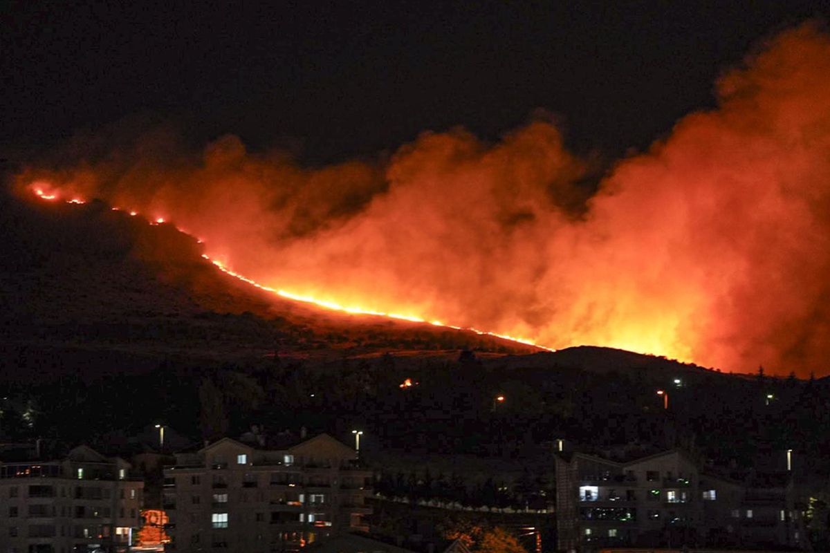 Ankara'nın Mamak ilçesinde ağaçlık alanda yangın
