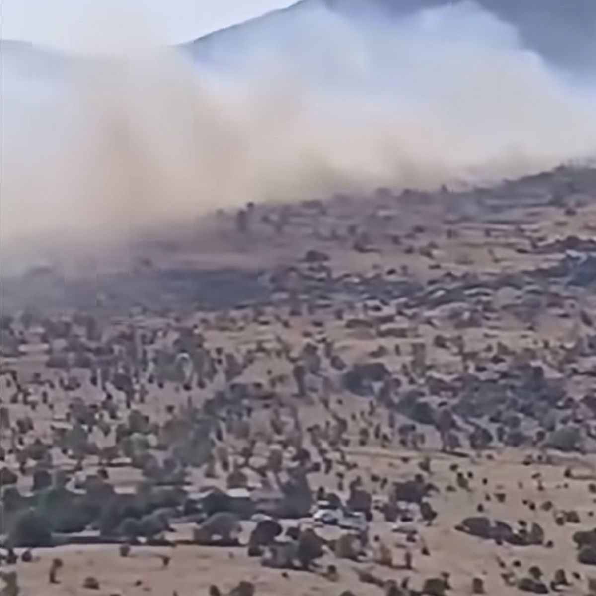 Çankırı Korgun'da Arazi Yangını Kontrol Altına Alındı
