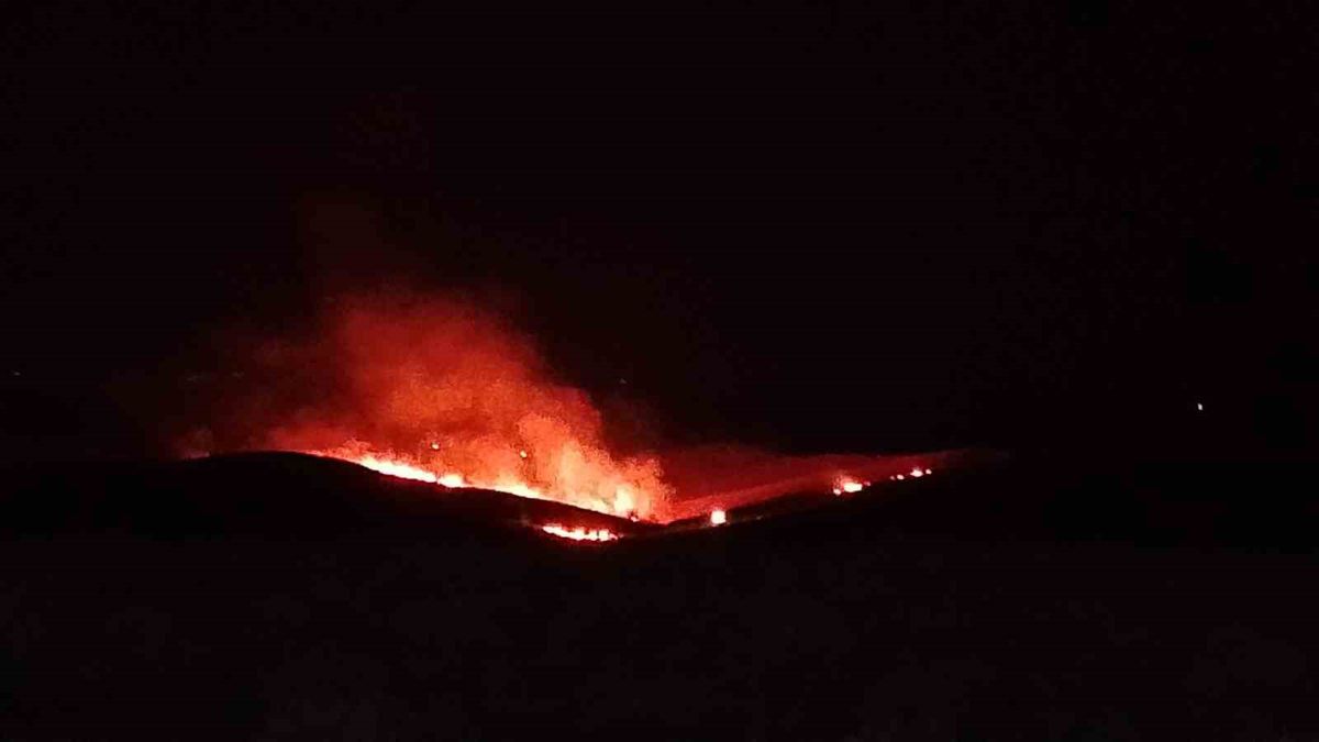 Diyarbakır’da anız ve örtü yangını