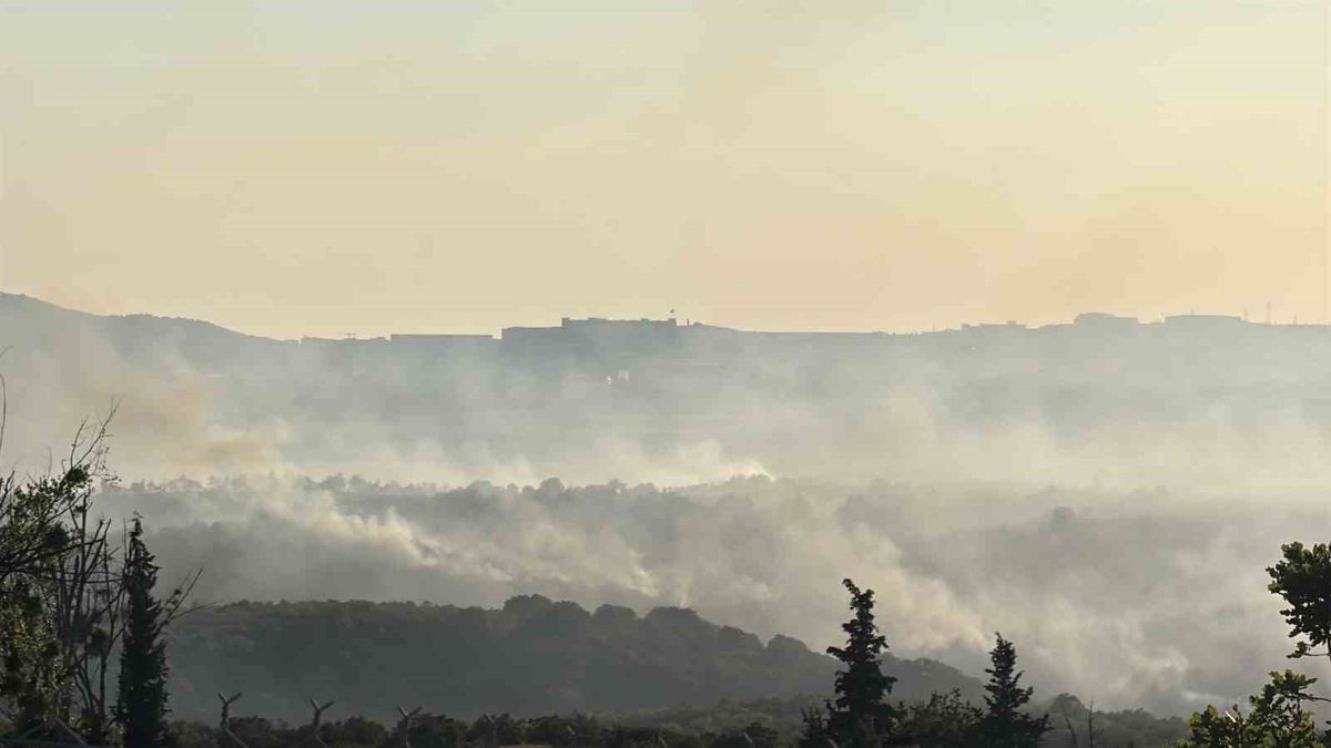 Gebze'de orman yangınına havadan ve karadan müdahale