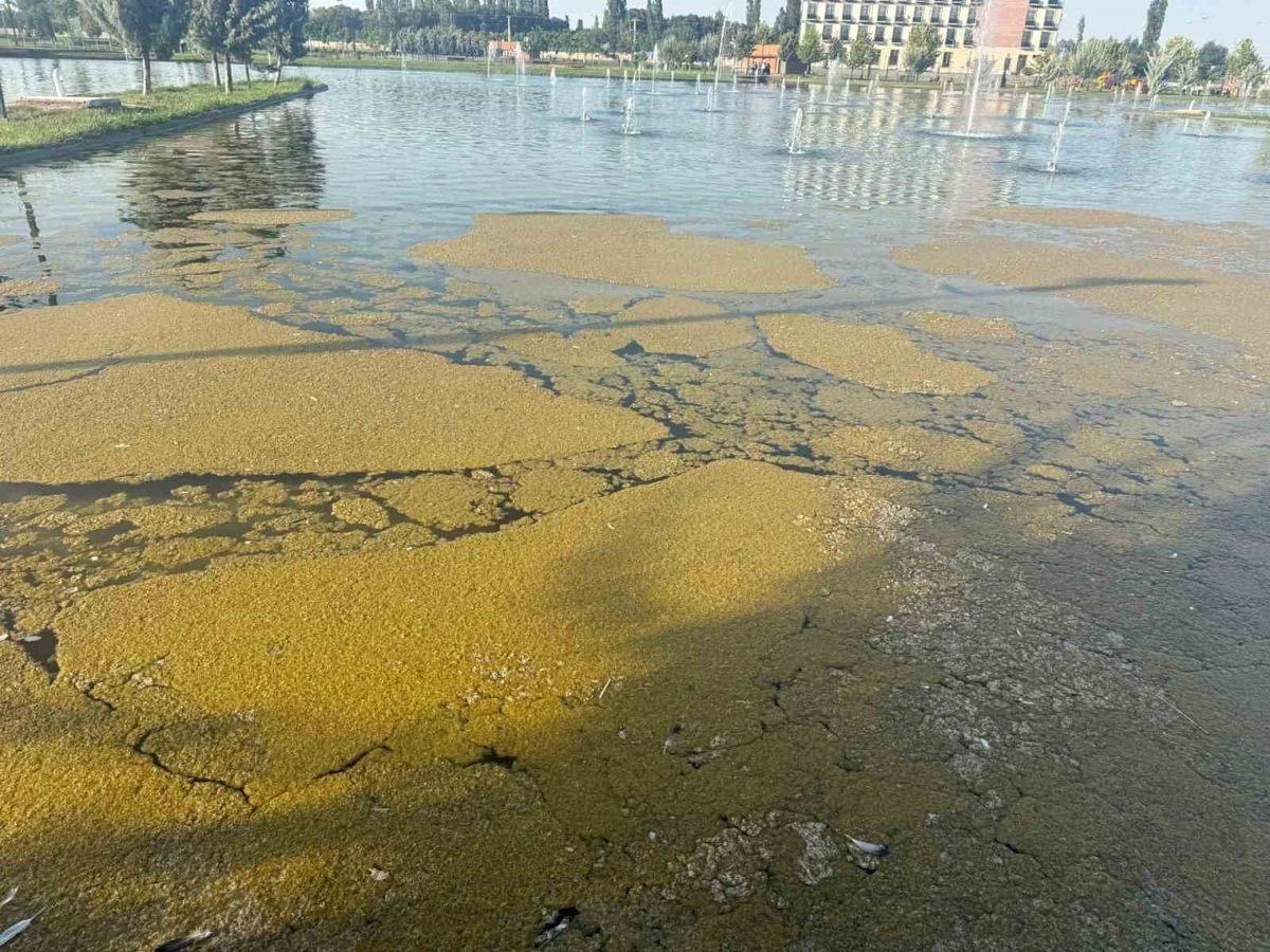 Iğdır Millet Bahçesi'ndeki Süs Havuzunda Kirlilik Tepki Çekti