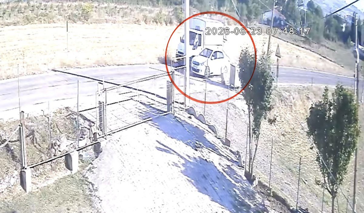 Samsun'da Otomobil Sokak Köpeğine Çarptı: Güvenlik Kamerasında