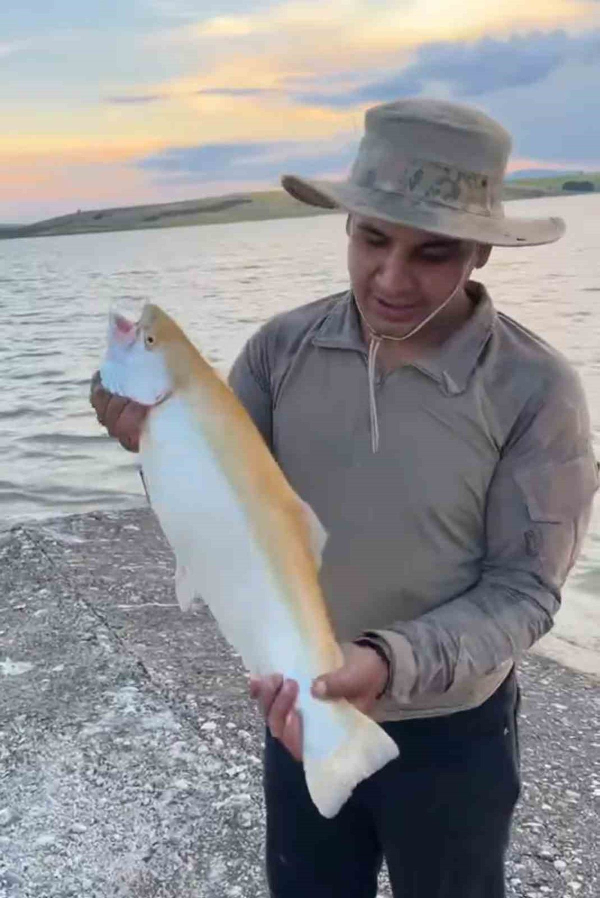 Keban Barajı'nda Nadir Görülen Sarı Albino Alabalık Yakalandı