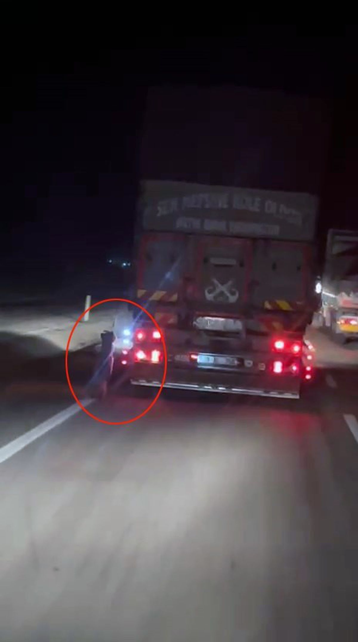 Denizli'de Kamyonete Bağlanan Köpek Sürüklendi